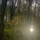 Romanko5