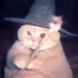 Lynndec profile picture