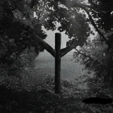 volo.dya1504 profile picture