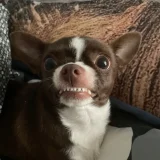 zek21 profile picture