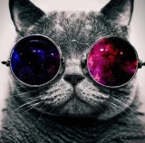 Anconik profile picture