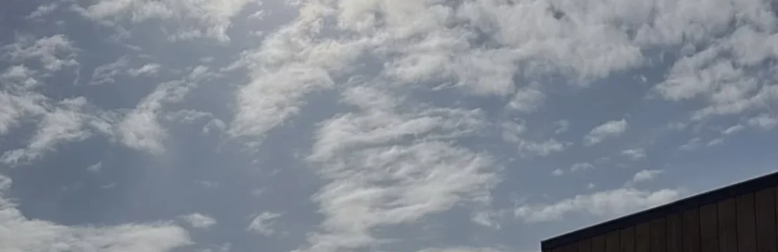 Анастасия Шустова 