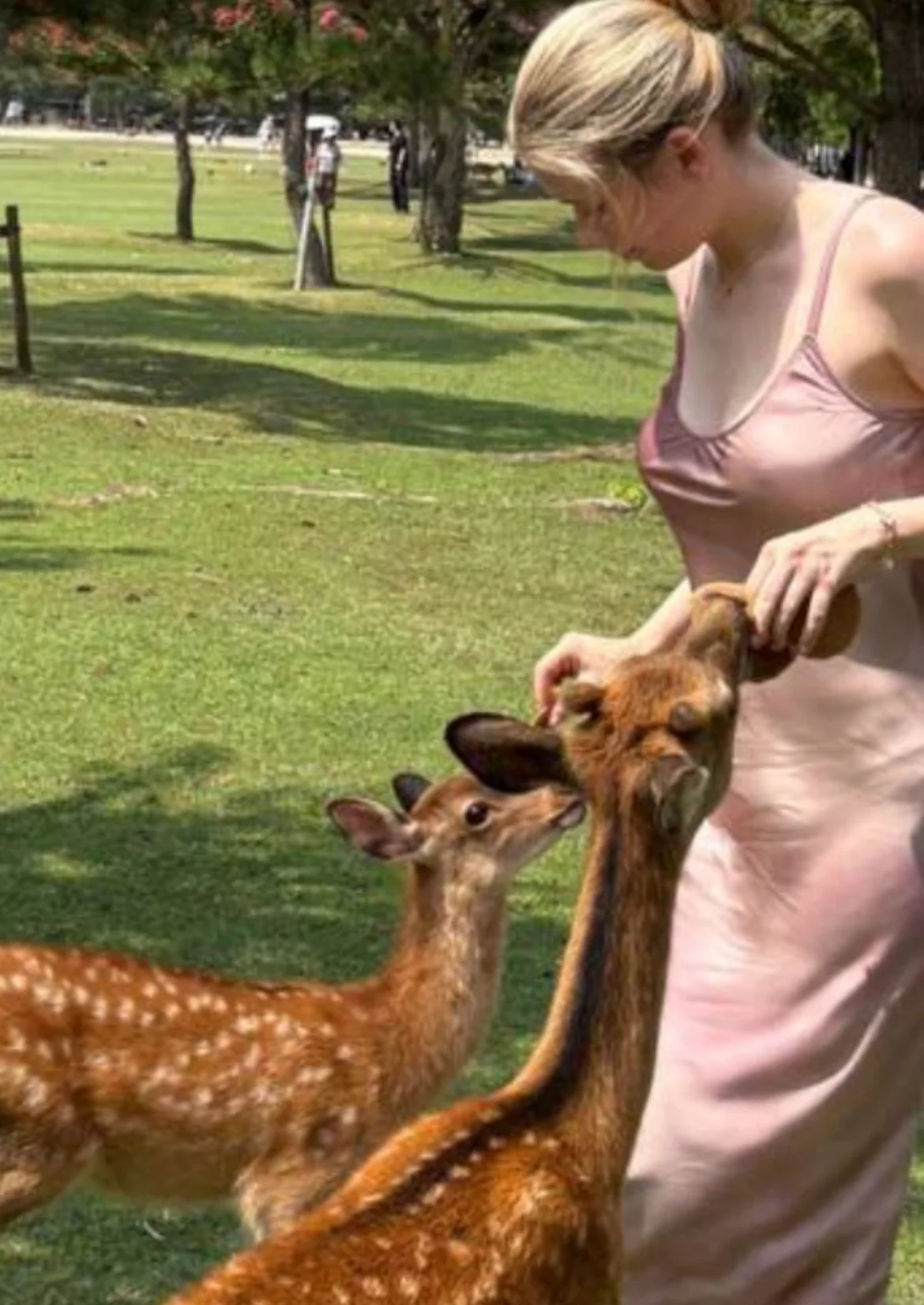inst_rinna sexy video thumbnail