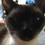 Mixed1993 profile picture