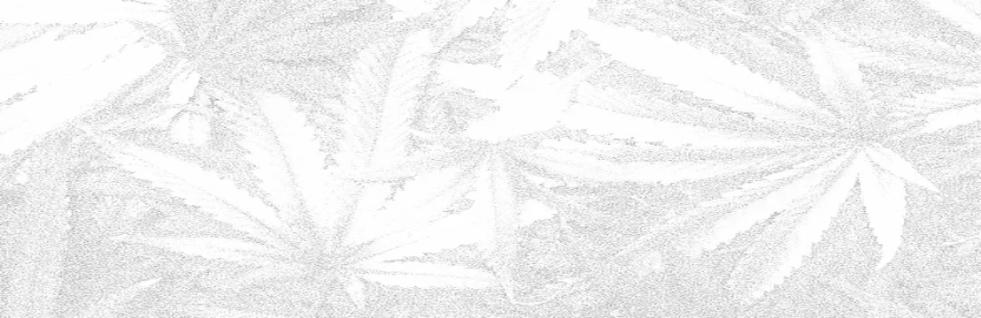 jadehubx community banner