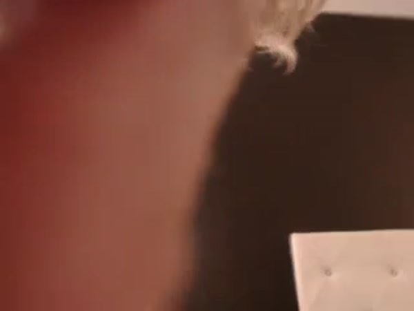 Sabrina Nellie sexy video thumbnail