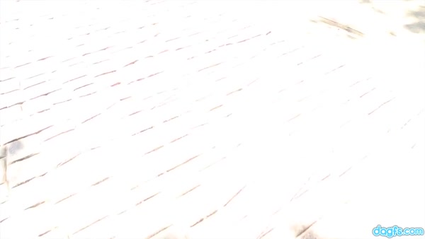 Peta Jensen sexy video thumbnail